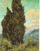 Vincent Van Gogh Cypresses oil painting on canvas